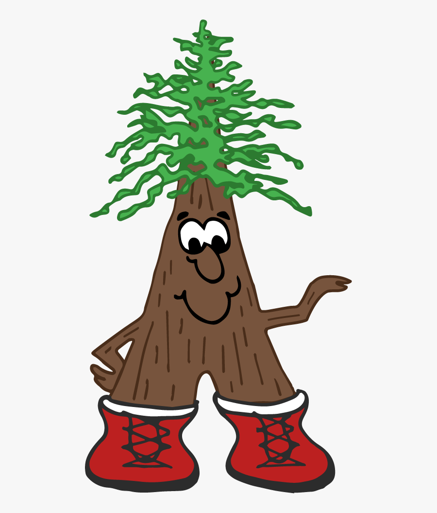 Redwoods Rv Resort Has Gone Back To Our Roots - Cartoon, Transparent Clipart