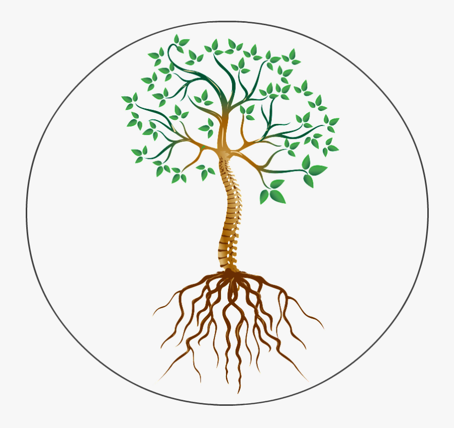 Transparent Tree Root Png - Root Cause, Transparent Clipart