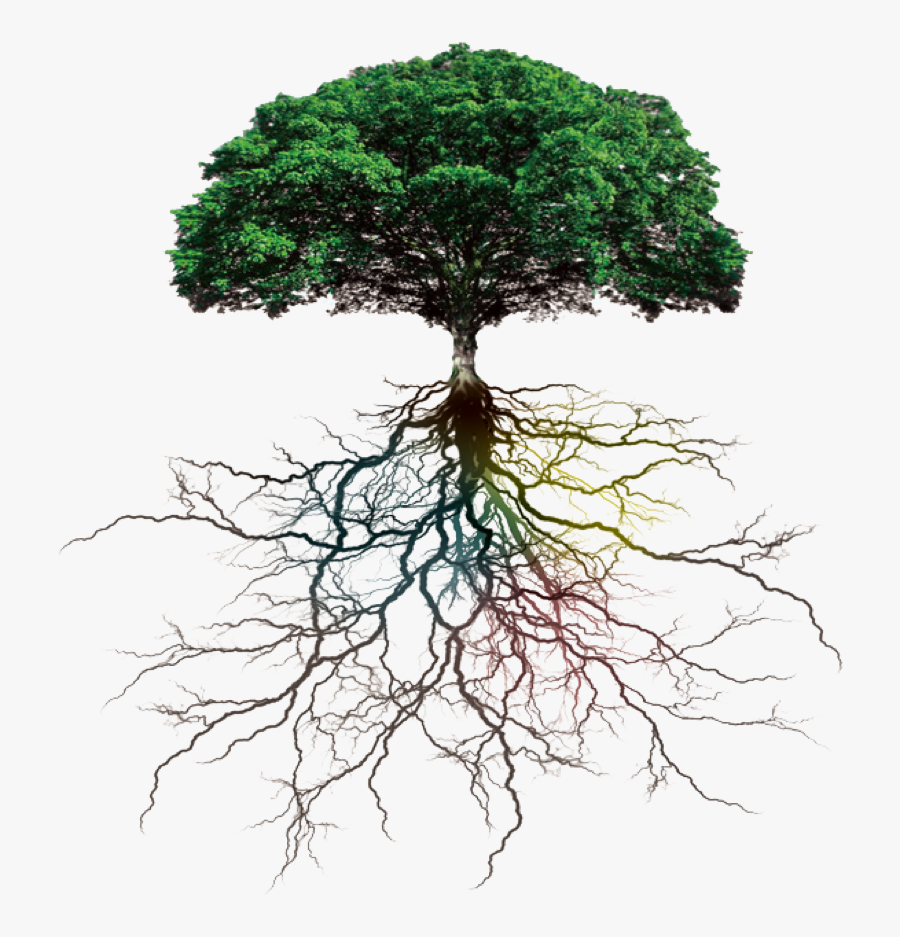 #ftestickers #tree#roots #freetoedit - Tree With Roots Png, Transparent Clipart