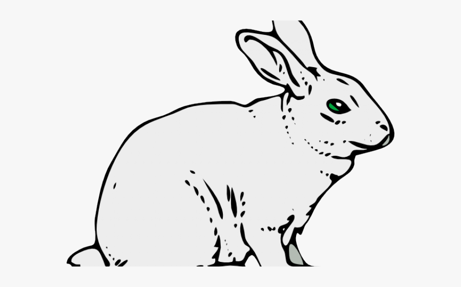 Rabbit Cliparts - Khargosh Black And White, Transparent Clipart