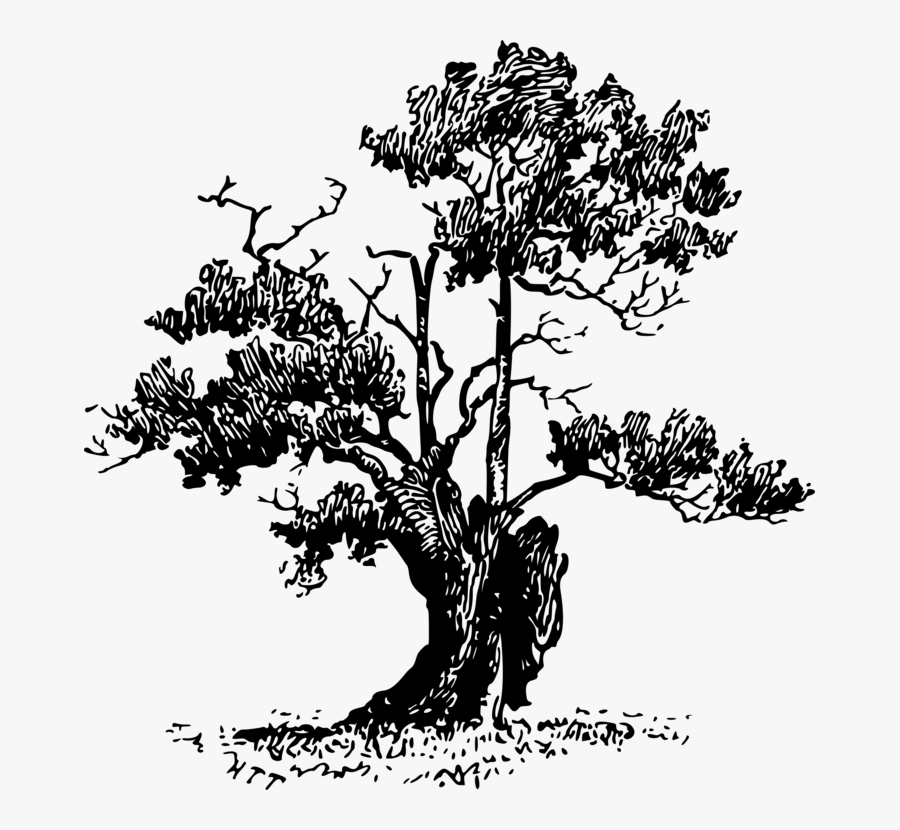 Roots Clipart Digital Tree - Clip Art, Transparent Clipart