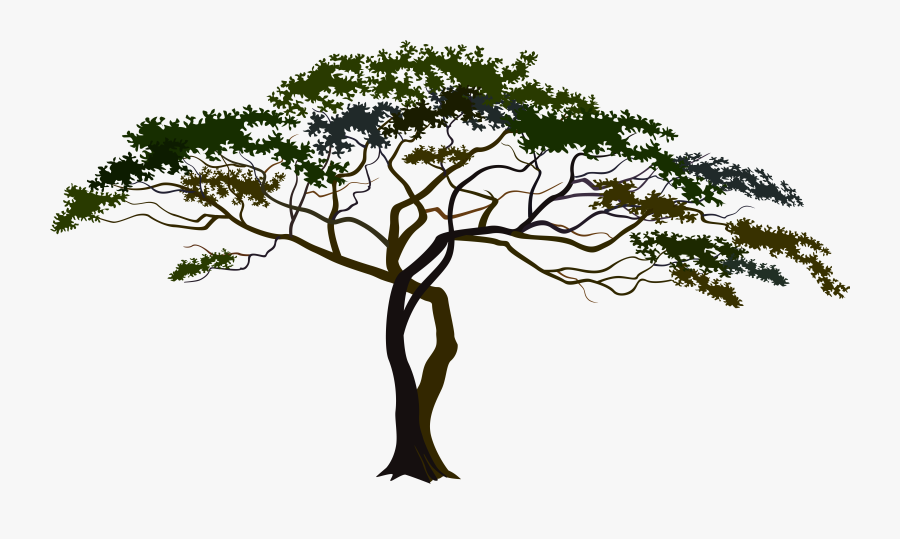 Tree Cliparts Transparent Translucent - African Tree Clipart Png, Transparent Clipart