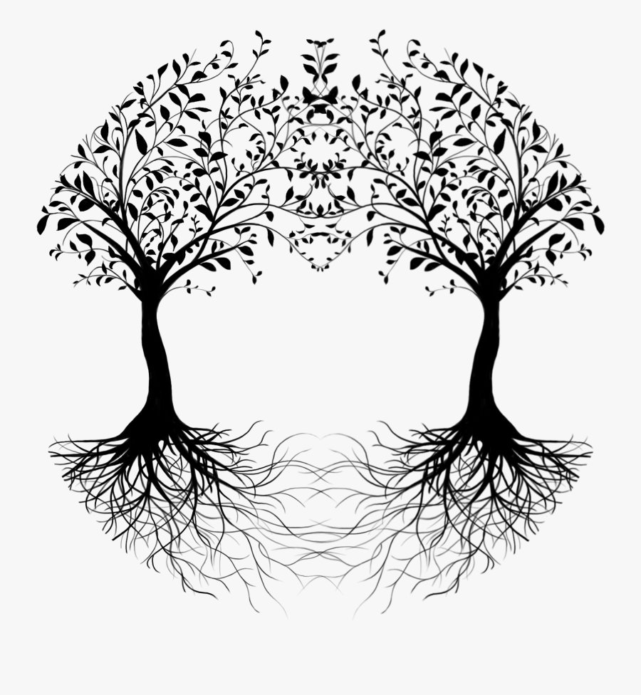 Jpg Free Library Root Vector Single - Drawing Of Two Trees, Transparent Clipart