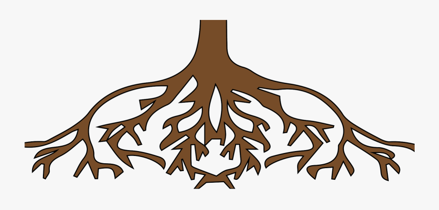 Transparent Roots Png - Tree Root Clip Art, Transparent Clipart