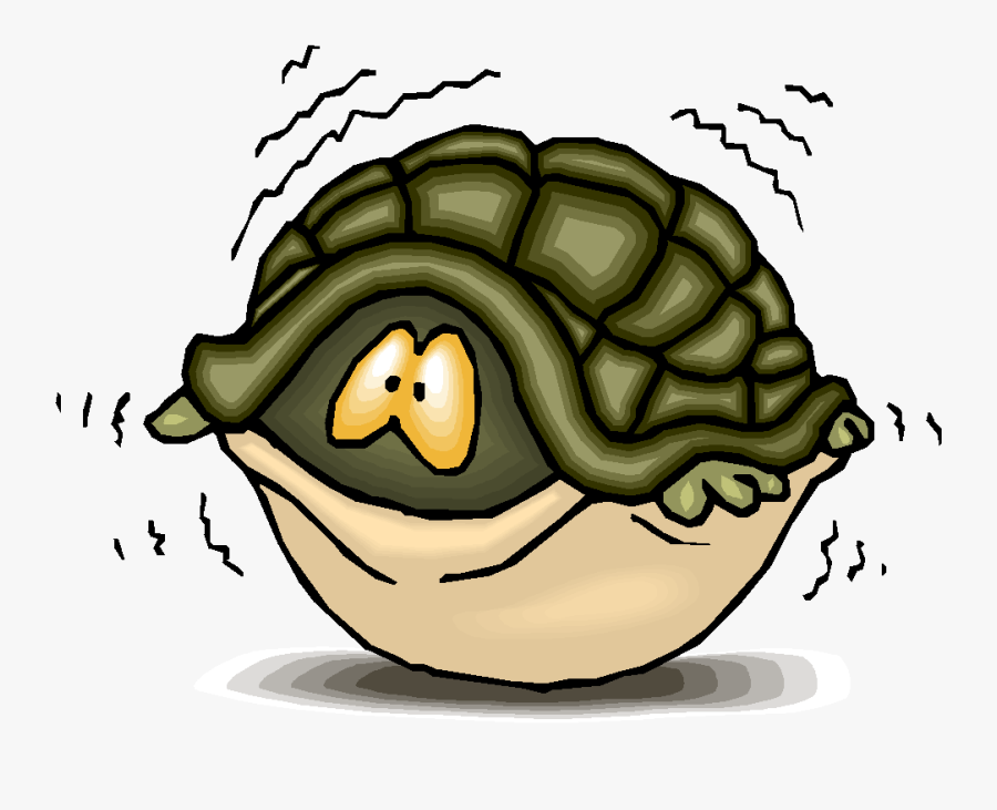 Dragnet Clipart - Turtle Inside Shell Cartoon, Transparent Clipart