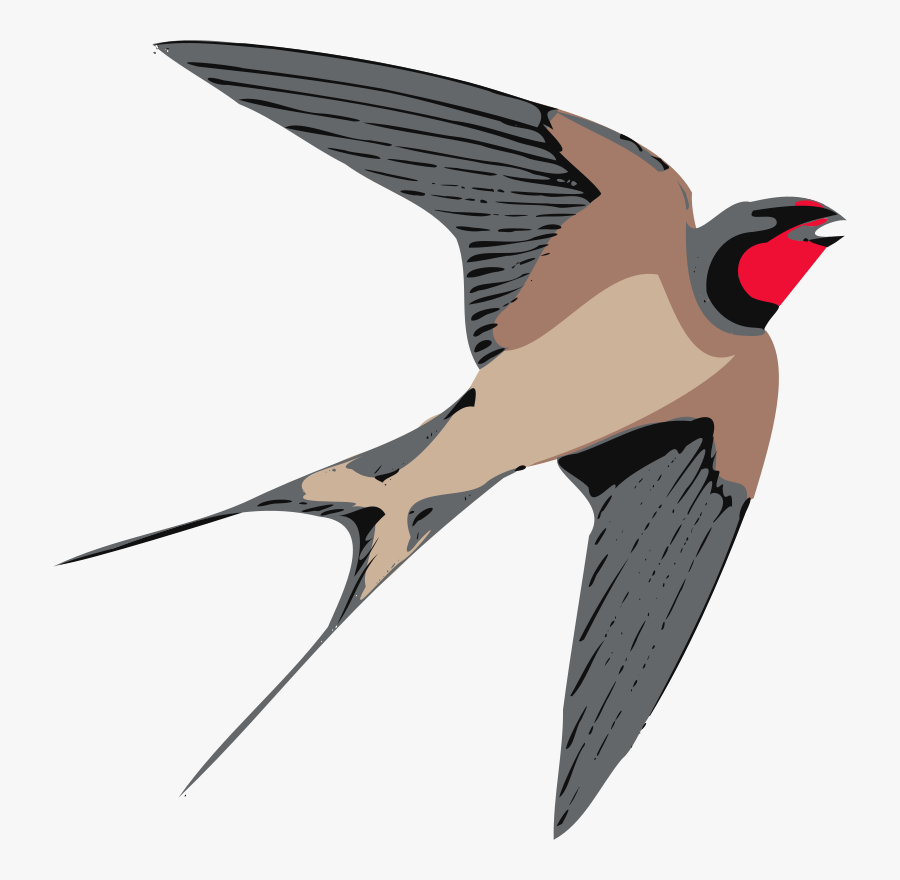 Swallow Clip Art - Swallow Clipart, Transparent Clipart