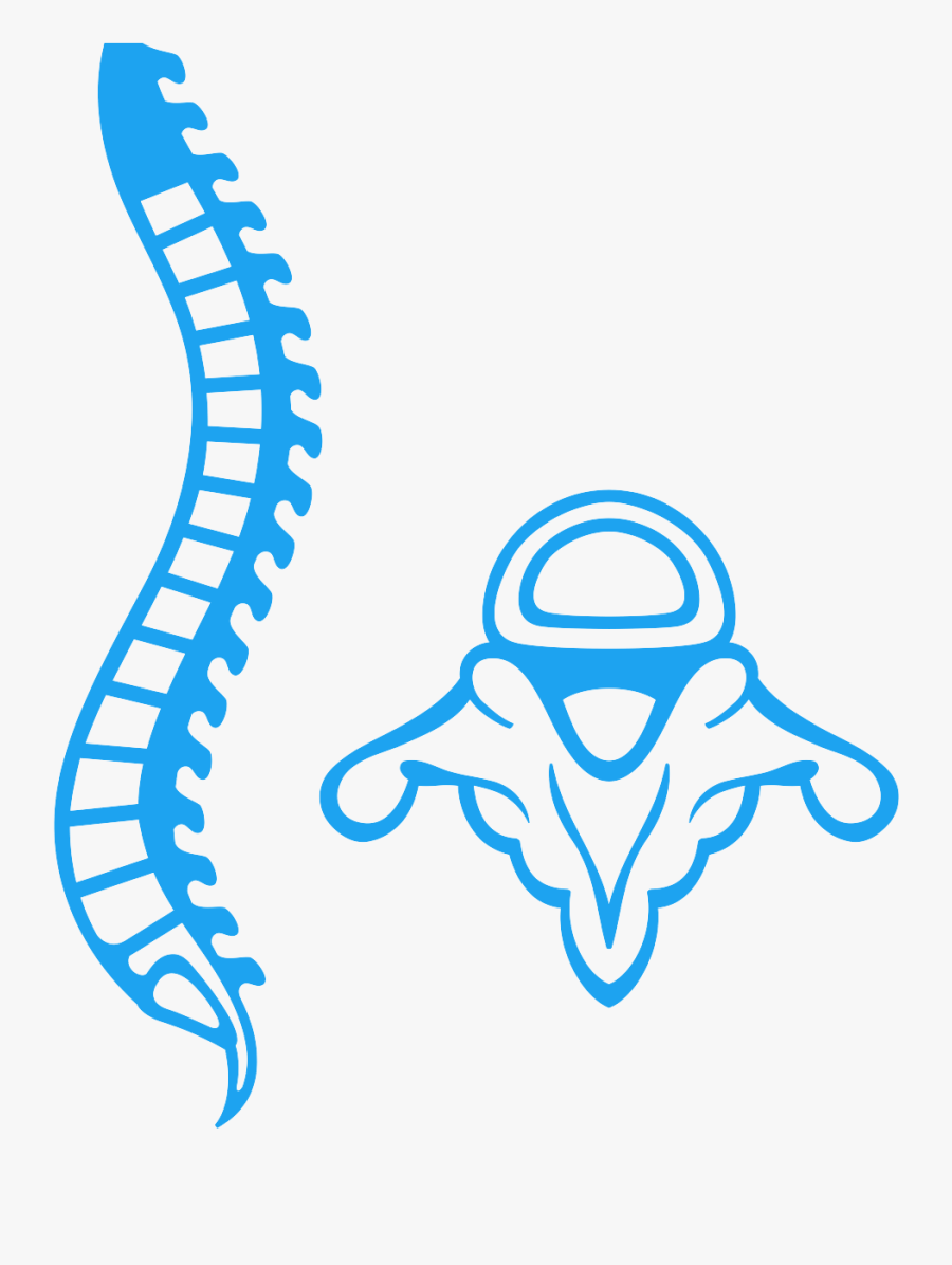 Chiropractor Sandton Spine - Medula Espinal Png, Transparent Clipart