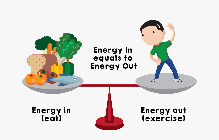 Shape Up With Lower - Basal Metabolic Rate, Transparent Clipart