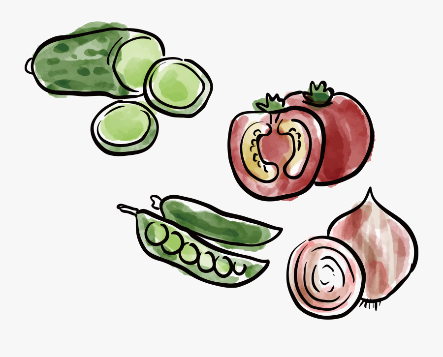 Transparent Food And Nutrition Clipart, Transparent Clipart