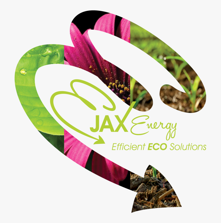 Flip Flops - Flip-flops, Transparent Clipart