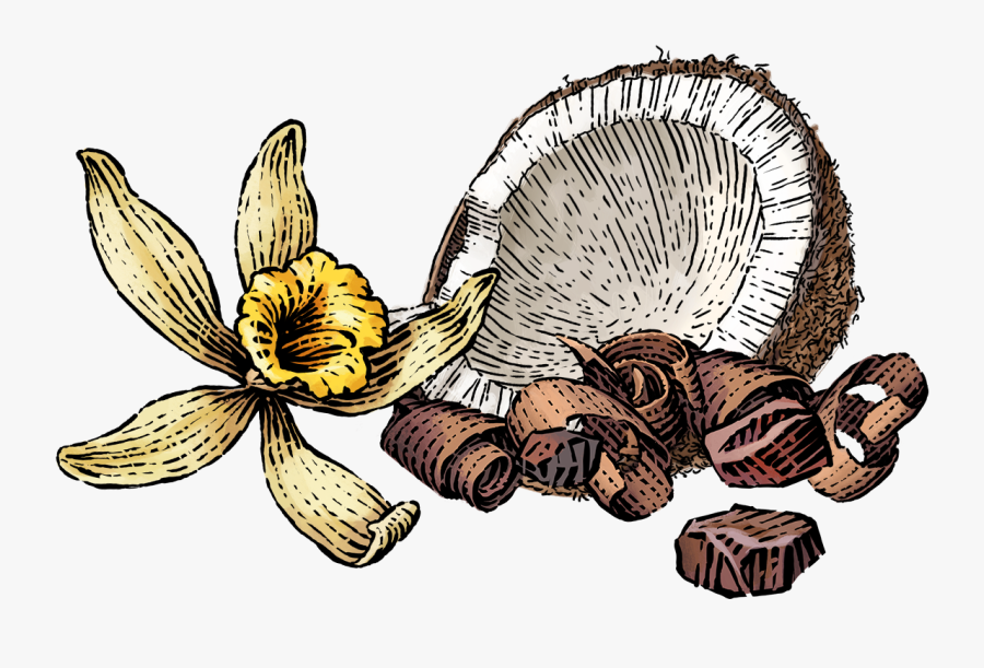 Nutrition Facts - Coconut Vanilla Clipart, Transparent Clipart