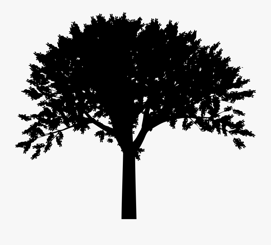 Clipart Tree Silhouette, Transparent Clipart