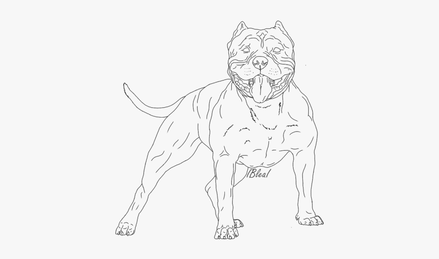 Dogs Clipart American Bully - American Bully Faces Drawing, Transparent Clipart