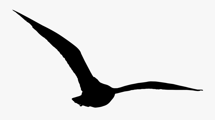 Bird Silhouette Png, Transparent Clipart