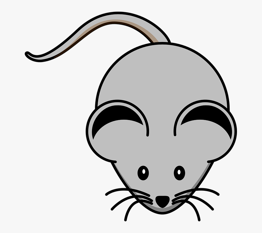 Mouse Grey Rodent Free - Grey Mouse Clipart, Transparent Clipart