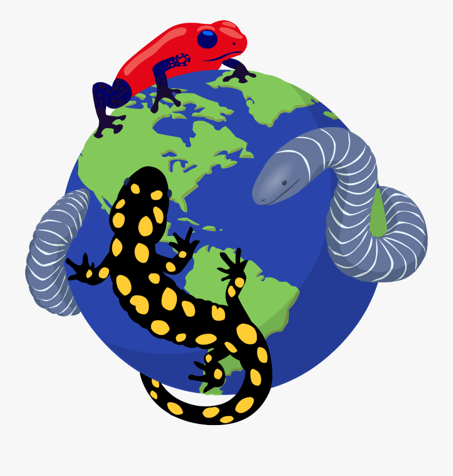 Amphibian Decline, Transparent Clipart