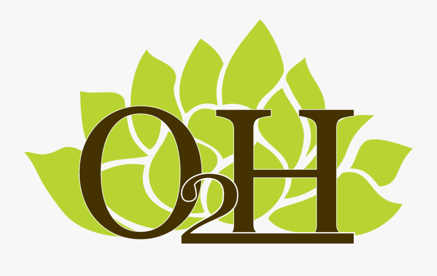 Graphic Design, Transparent Clipart