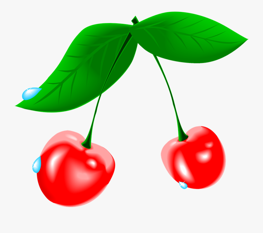 Cherry By Maxim2 Cherries With Water Drops - Cherry Cliparts, Transparent Clipart