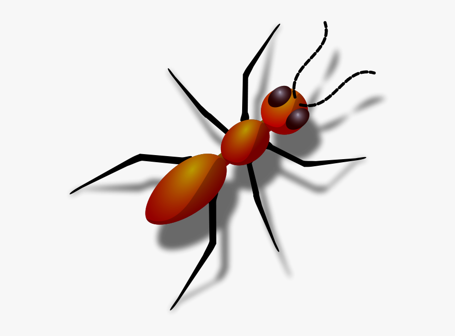 Honeypot Ant Clip Art Download - Cuerpo De Una Hormiga, Transparent Clipart