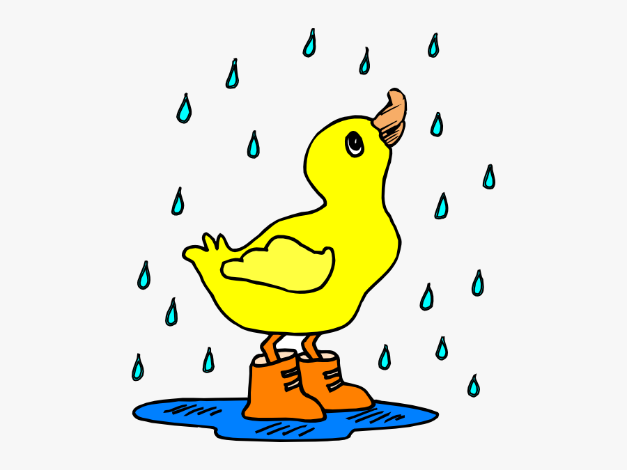 Transparent Rain Clip Art - Duck In The Rain Cartoon, Transparent Clipart