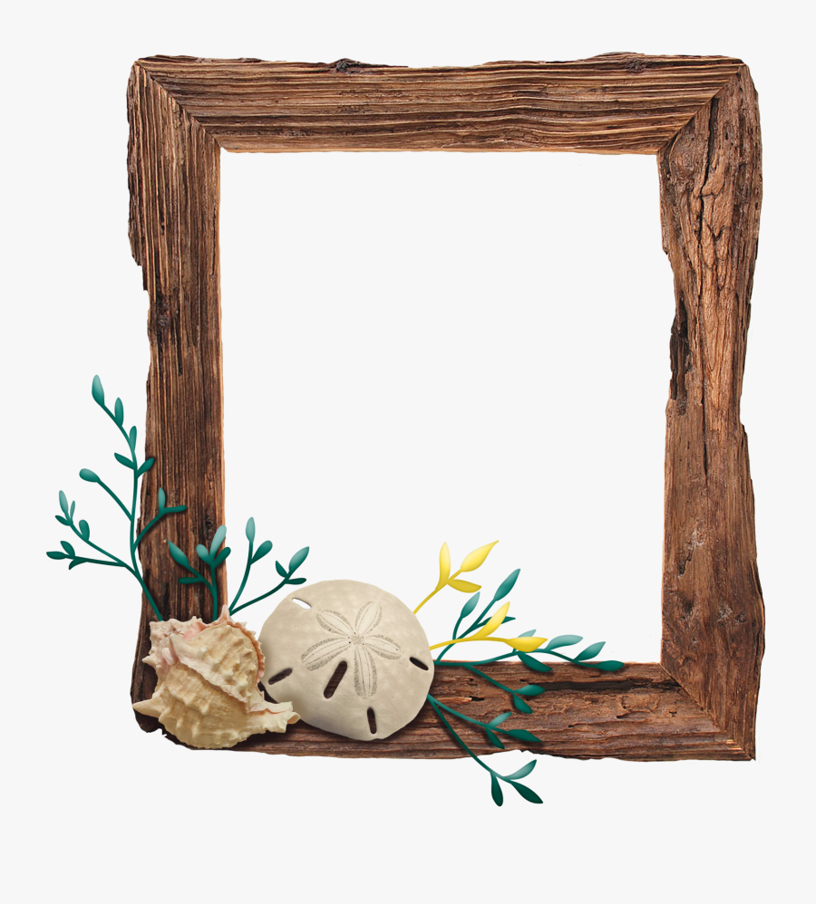 Picture Frame , Transparent Cartoons - Driftwood Border Clip Art, Transparent Clipart