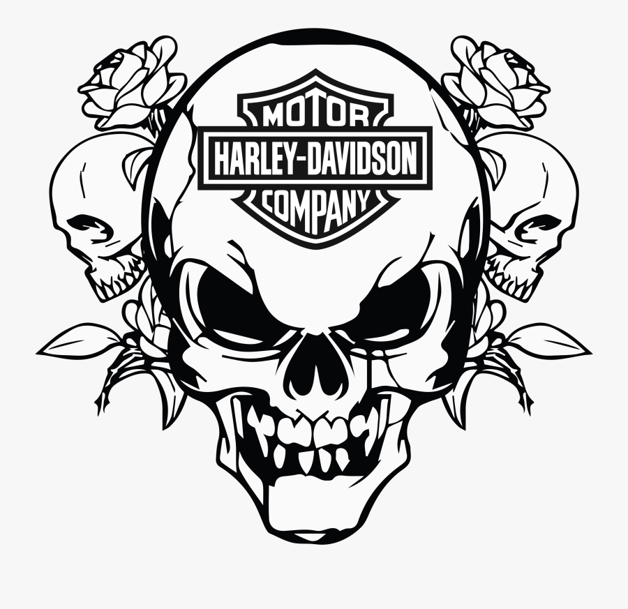 Harley Davidson Sportster Motorcycle Harley Davidson - Skull Head Vector Png, Transparent Clipart
