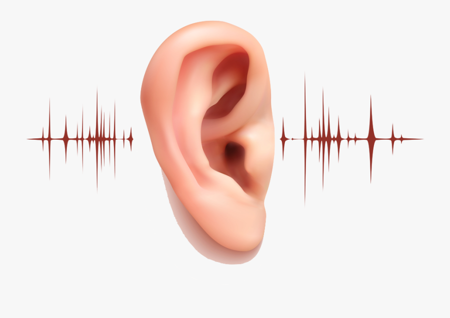 Ear Hearing Sounds - 5 Ways To Take Care Of Your Ears, Transparent Clipart