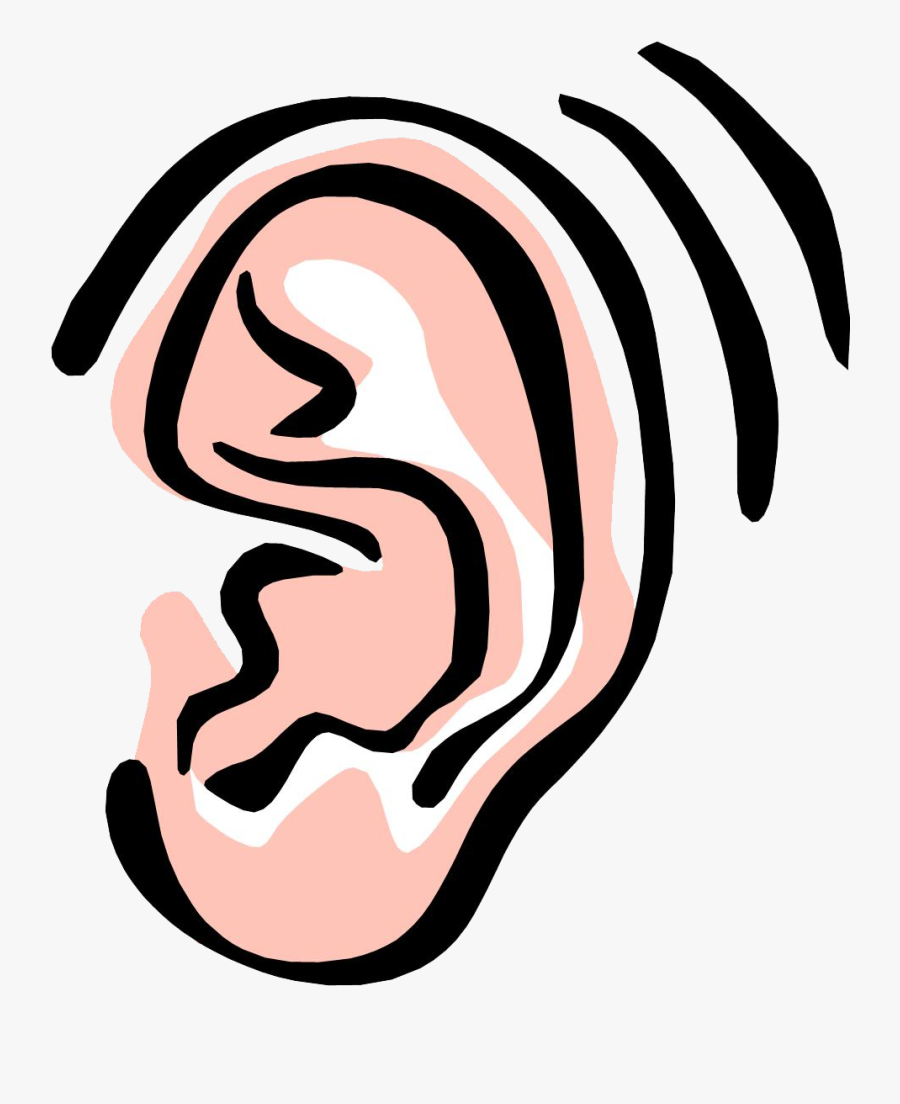 Ear Free Content Clip Art - Ear Clipart Png, Transparent Clipart