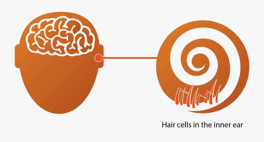 Illustration, Transparent Clipart