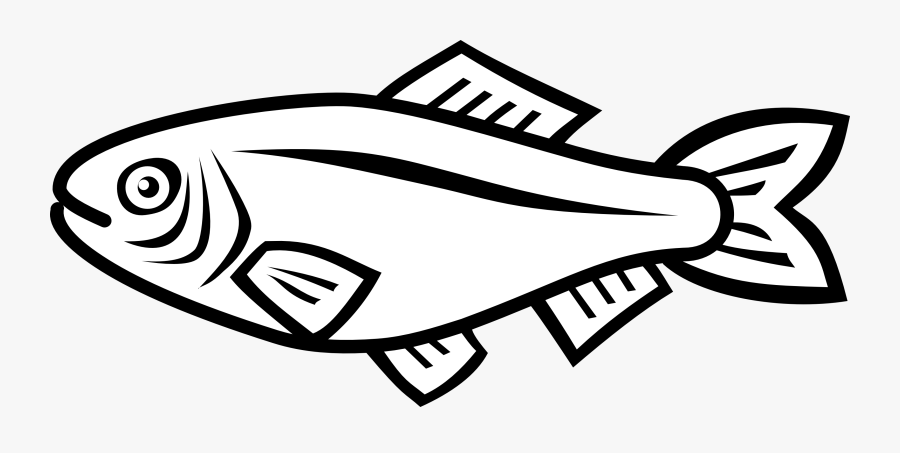 Fish Vector By Nico E-d6rxho3 - Fish Vector Black And White, Transparent Clipart