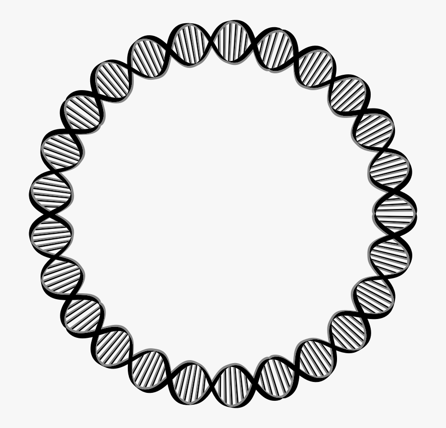 Dna Circle Gene Clip Art - Circle Outline Design Png, Transparent Clipart
