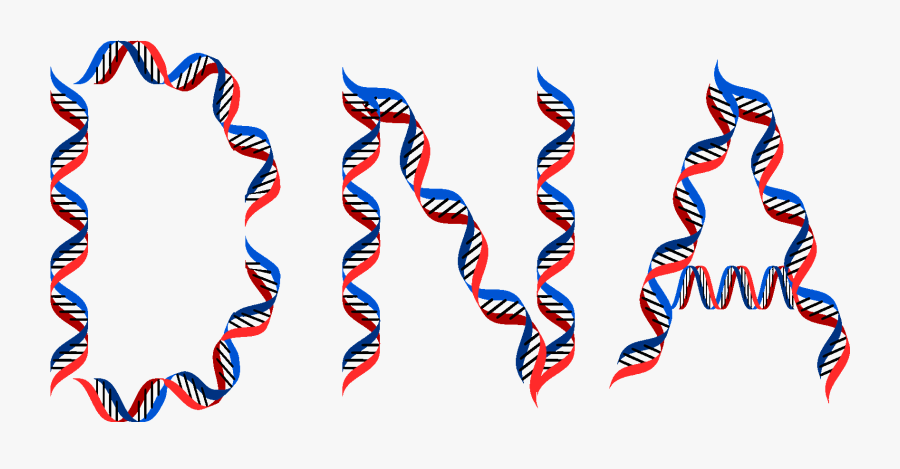 Dna Typography, Transparent Clipart