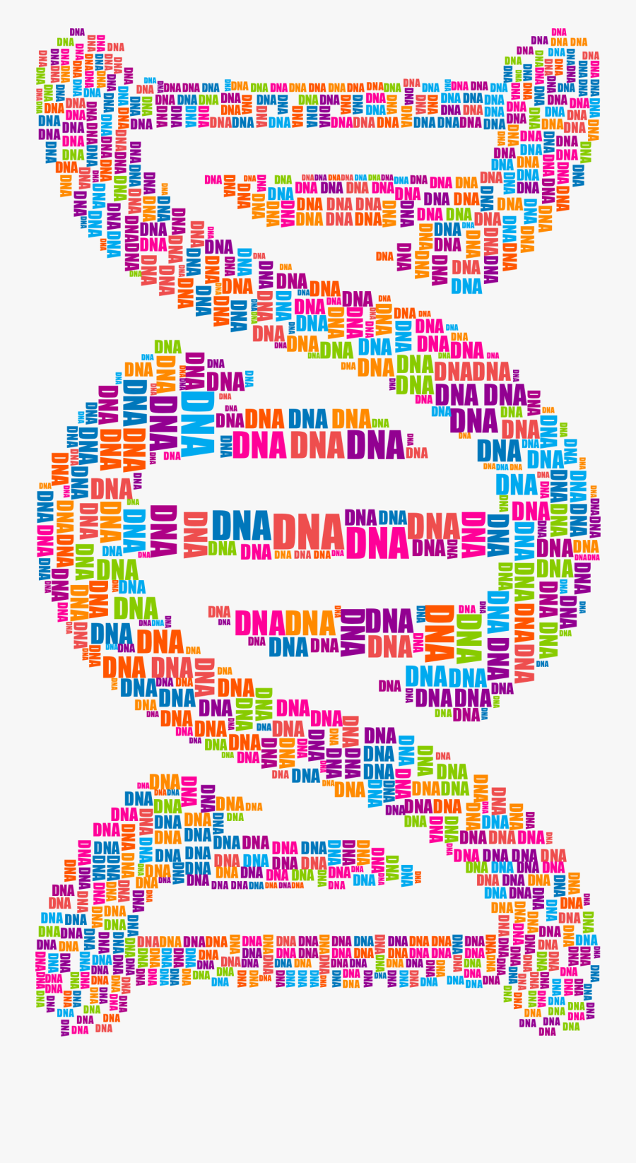 Dna Strand Word Cloud Typography Clip Arts - Dna Word Cloud, Transparent Clipart