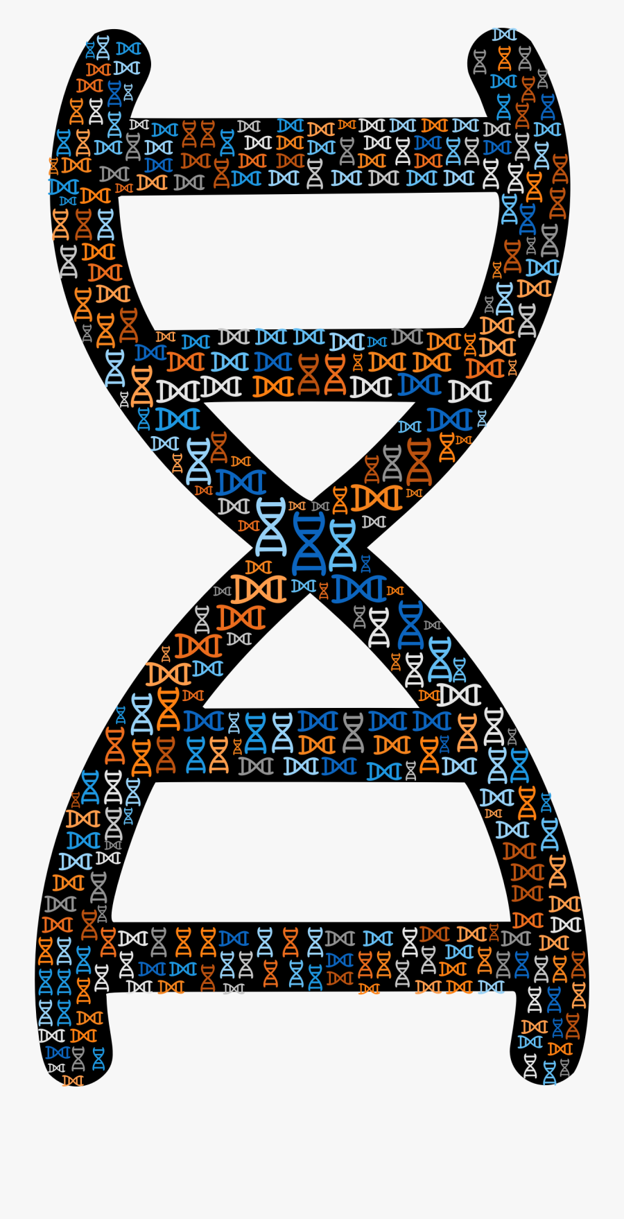 Dna Helix Fractal Clip Arts - Ncert Biology 2019 Edition, Transparent Clipart