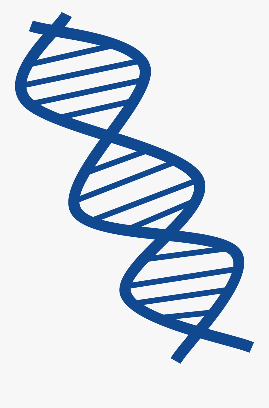 Dna Clipart Dna Ladder, Transparent Clipart