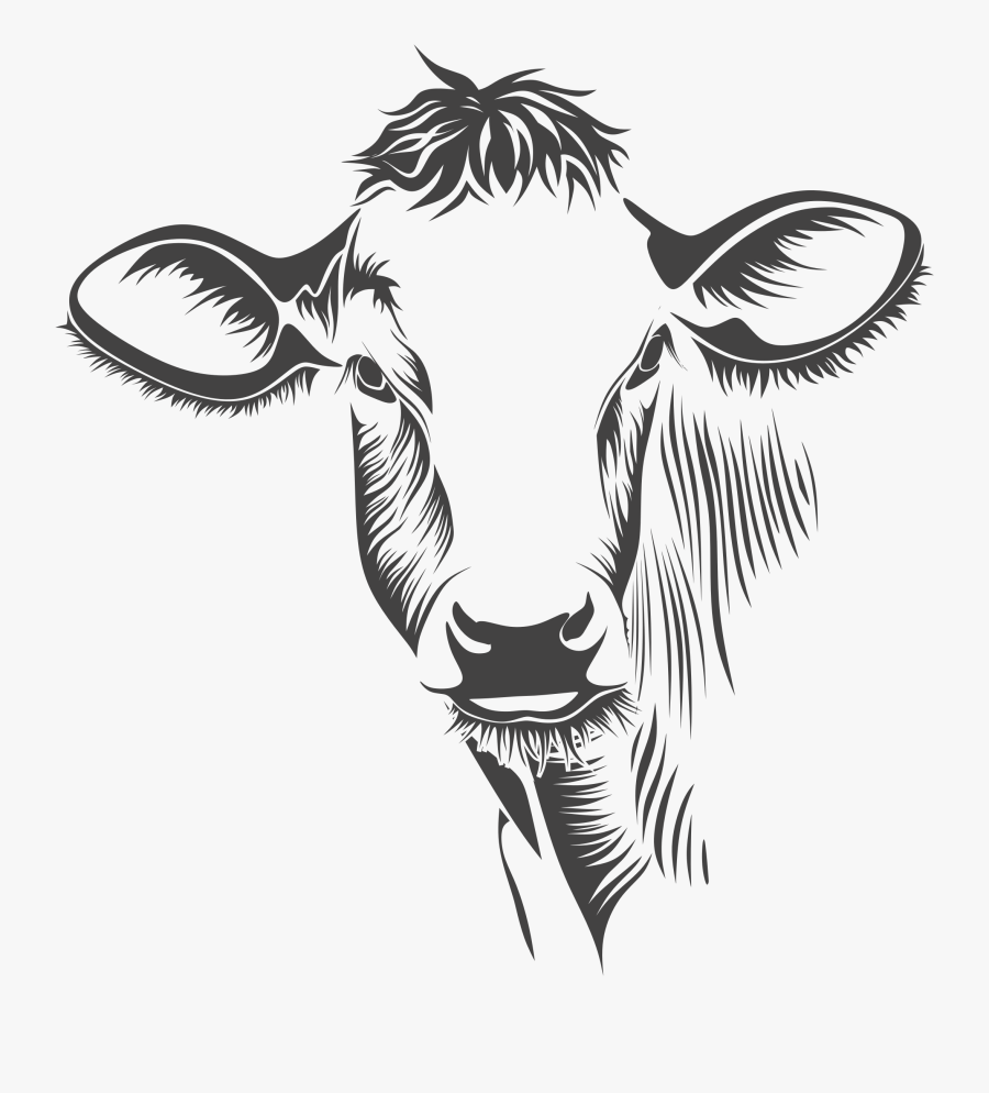 Clipart - Cow Face Line Art, Transparent Clipart