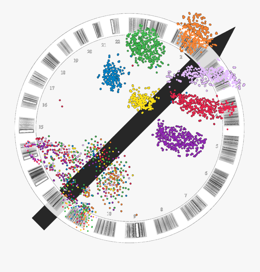 Dark Matter - Circle, Transparent Clipart