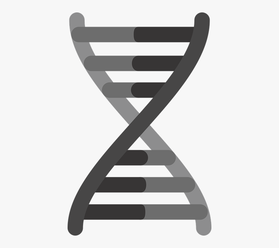 Gene Icon, Genetics Icon, Dna Icon, Gene, Genetics, - Gene Black And White, Transparent Clipart