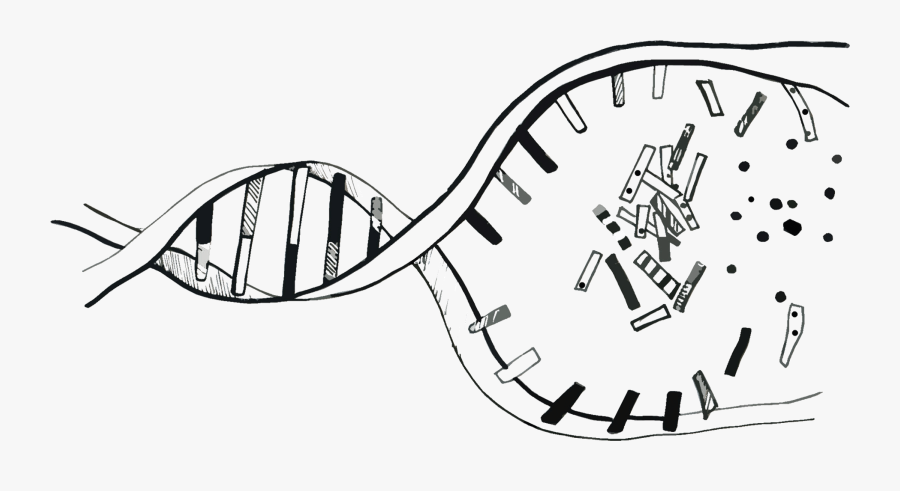 Dna Deconstruction, Transparent Clipart