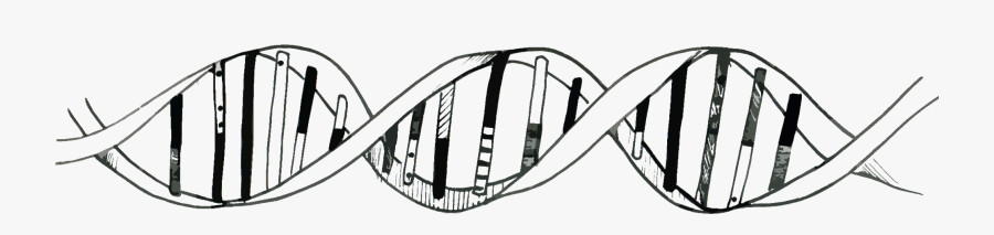 Dna Tumblr Png, Transparent Clipart