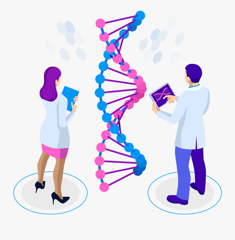 Dna Isometric, Transparent Clipart