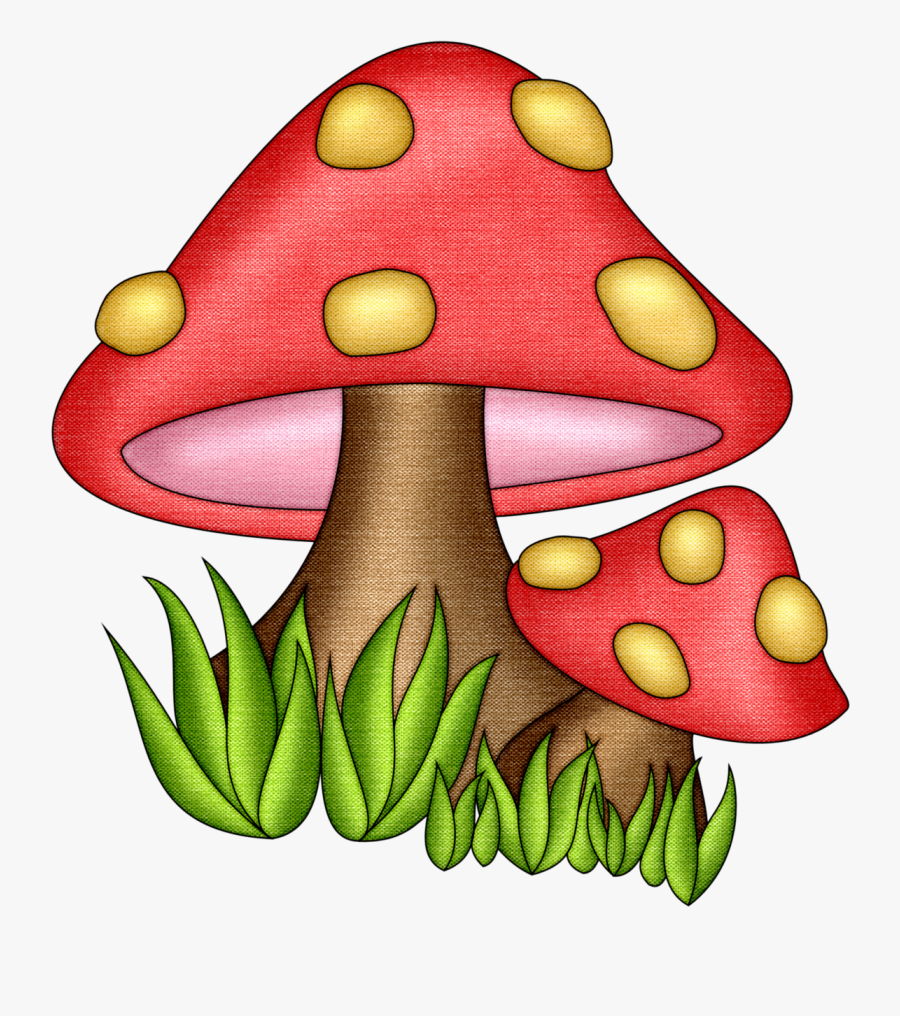 744 X 800 - Cartoon Mushrooms, Transparent Clipart