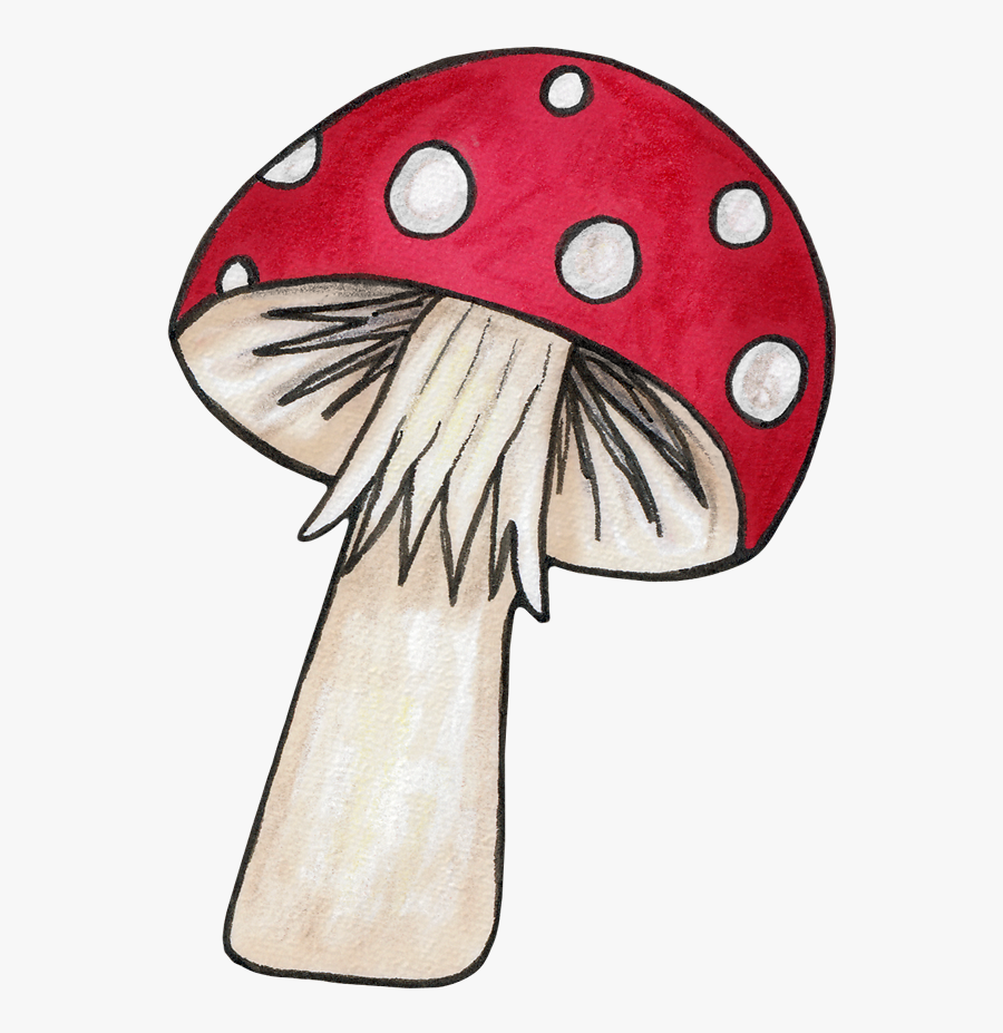 Mushroom For An Echanted Woodlands Party - ดอก เห็ด การ์ตูน Png, Transparent Clipart