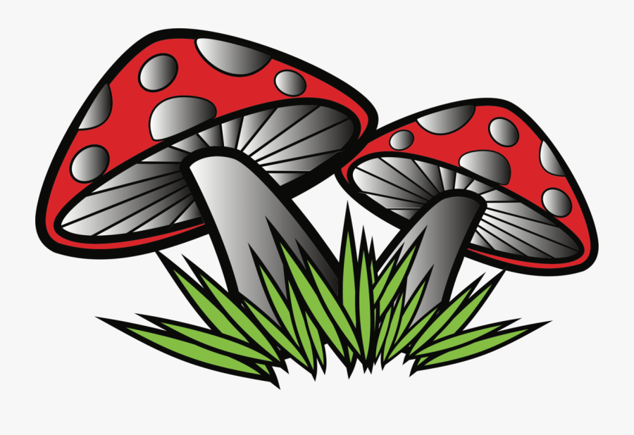 Transparent Mushroom Clipart Png - Clipart Mushroom And Butterfly, Transparent Clipart