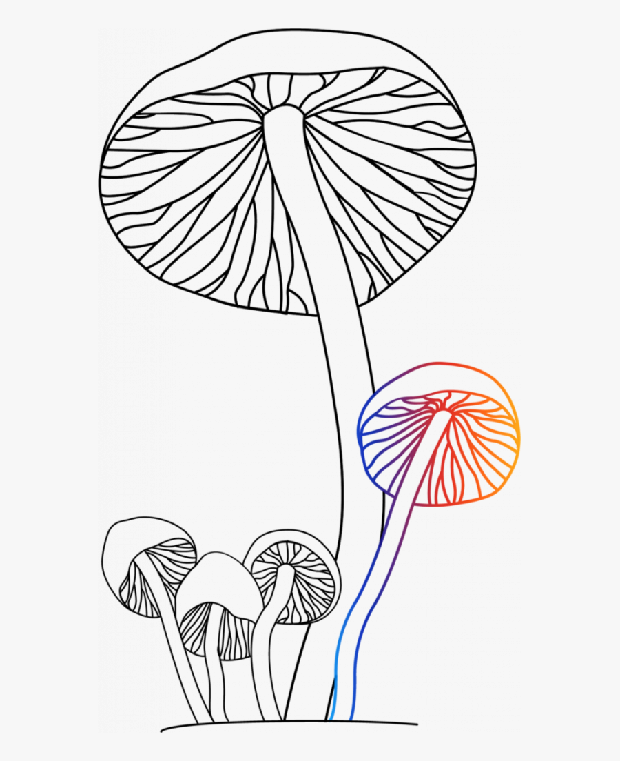 Transparent Magic Mushroom Clipart - Line Art, Transparent Clipart