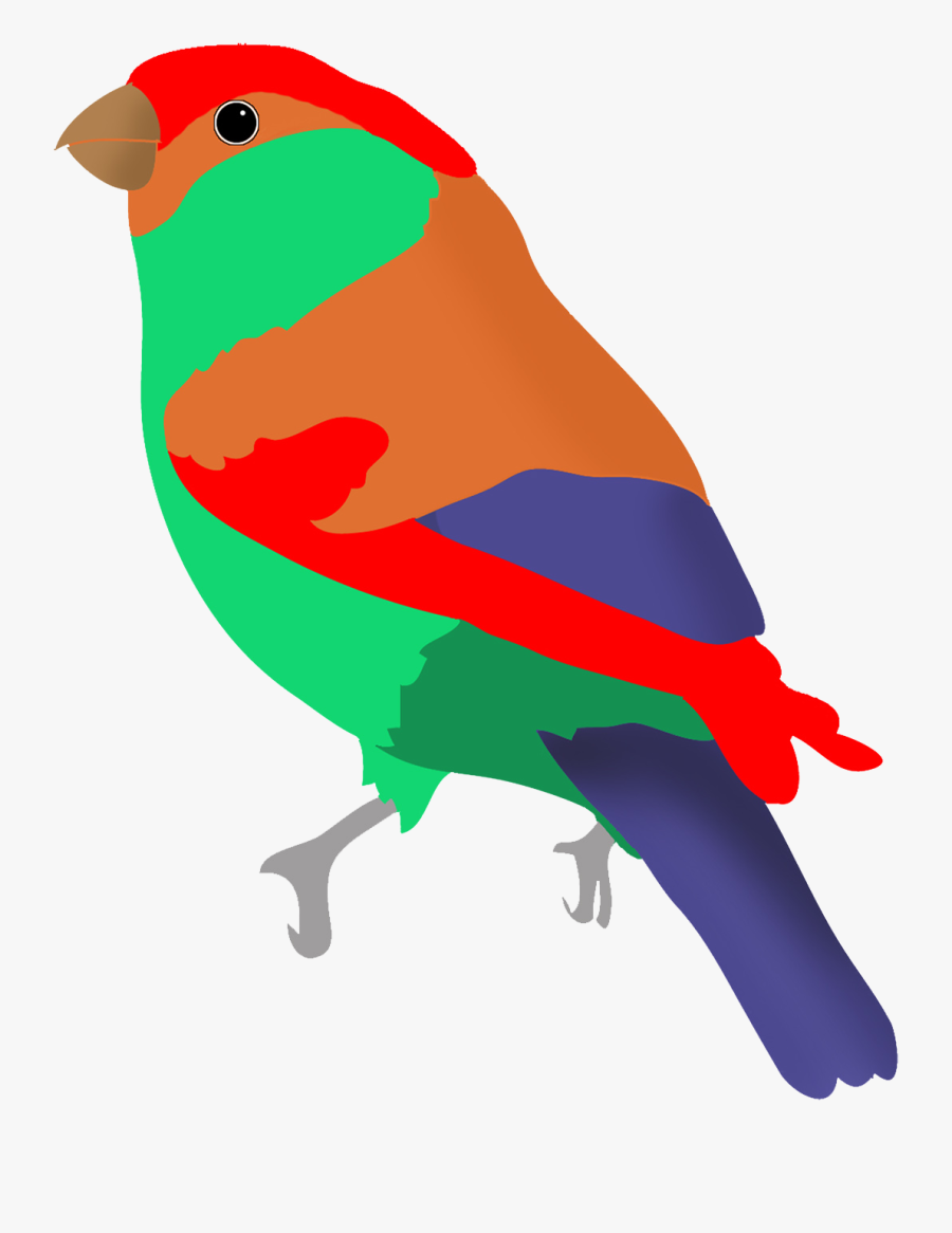 Colorful Bird In Fantasy Colors - Clipart Birds Flying Colorful Bird Transparent, Transparent Clipart