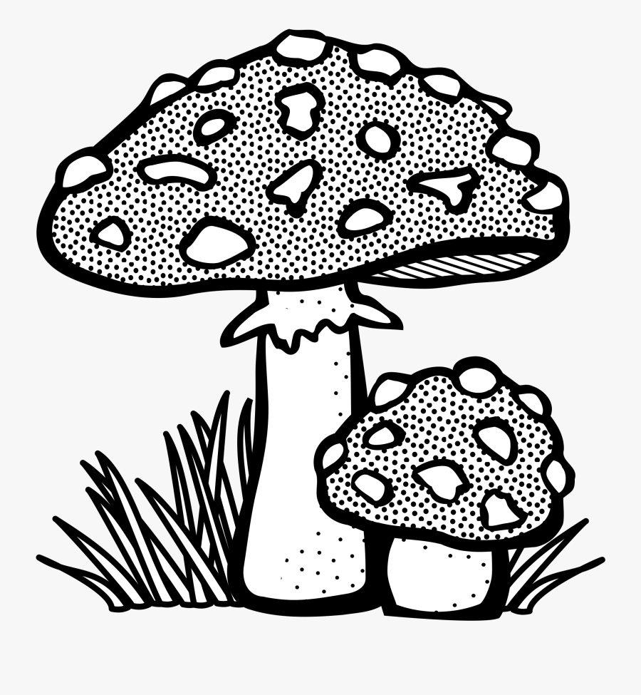 Mushroom Clipart Black And White - Toadstool Black And White, Transparent Clipart