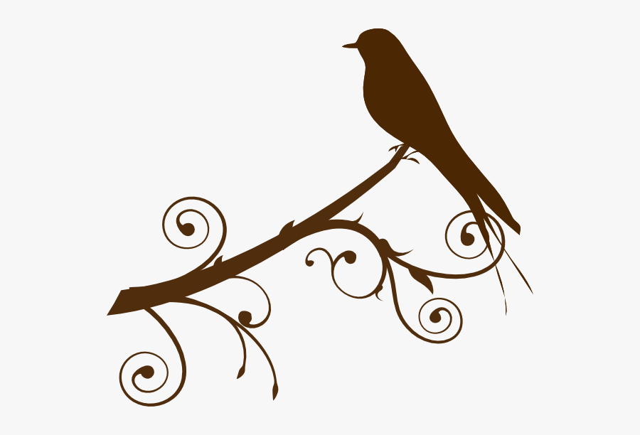Bird On A Branch Clip Art - Tree Branches Vector Png, Transparent Clipart