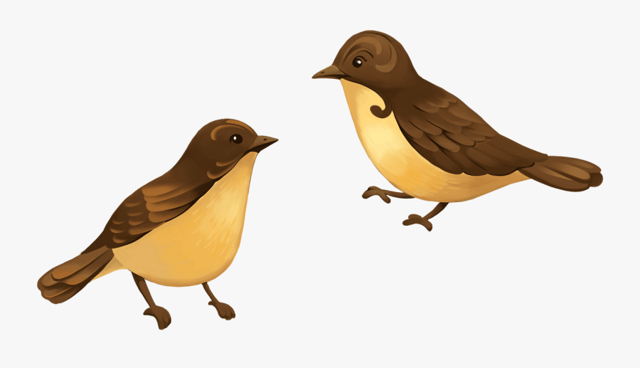 Finch, Transparent Clipart