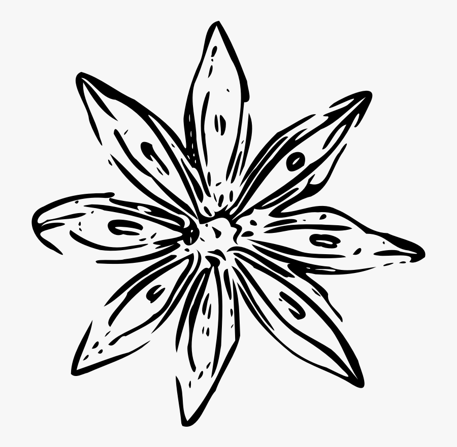 Flower Outline Svg Clip Arts 576 X 594 Px - White Flower Outline Png, Transparent Clipart